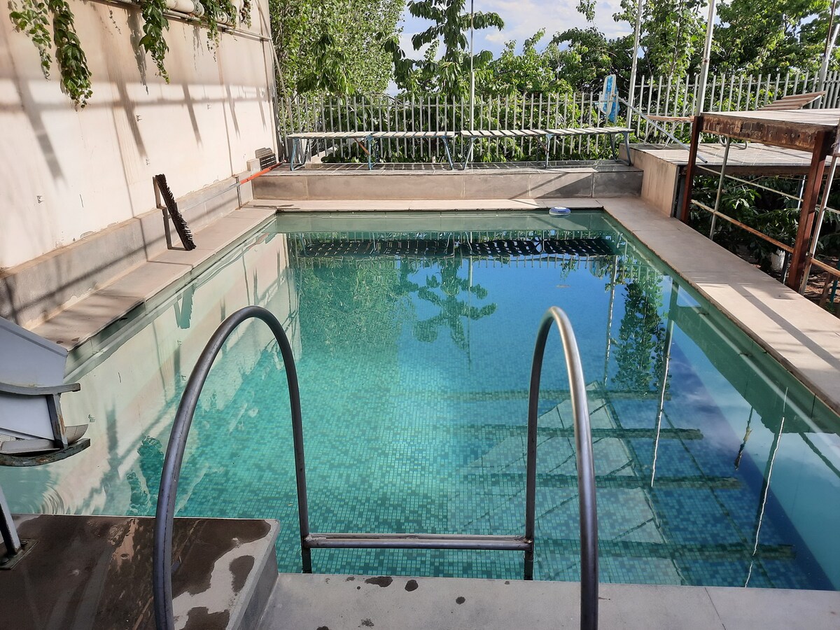 A swimming pool is surrounded by a well-maintained area, featuring a ladder for easy access. Lush greenery and fencing are visible in the background, complementing the serene water. Sunlight reflects off the surface, creating a peaceful atmosphere.