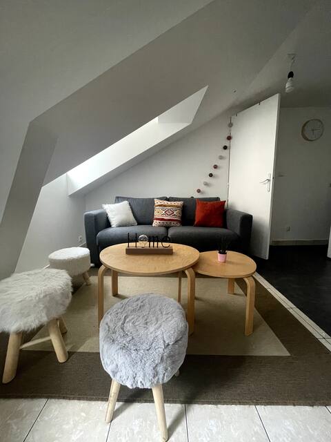 Propriété Airbnb réussie: Nantes: T1 bis hyper center (shopping) very quiet à Centre Ville
