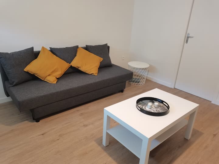 Belle Maison 10p 6 Couchages Tours Centre Jardin - Tours