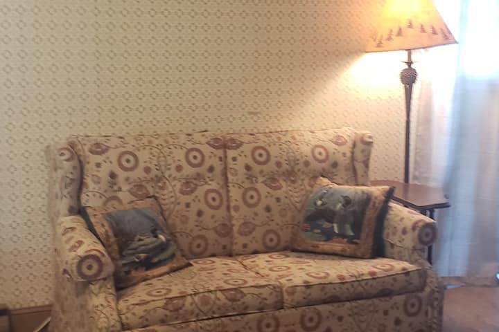 Sillón de dos plazas en el comedor con una cama doble extraíble. 