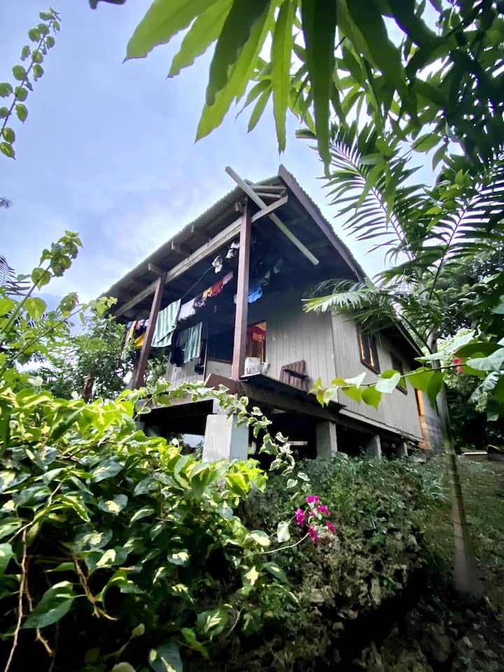 Homestay in White Grass Village Bed and breakfasts for Rent in