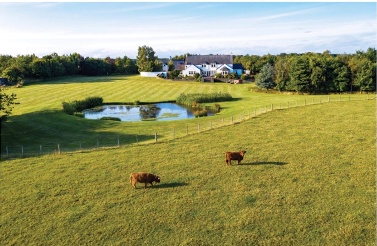 Aerial view of a sprawling green landscape with gentle rolling hills and a serene pond. The Clock House is visible in the background, surrounded by trees. Two brown cows graze leisurely in the foreground, contributing to the tranquil countryside setting.