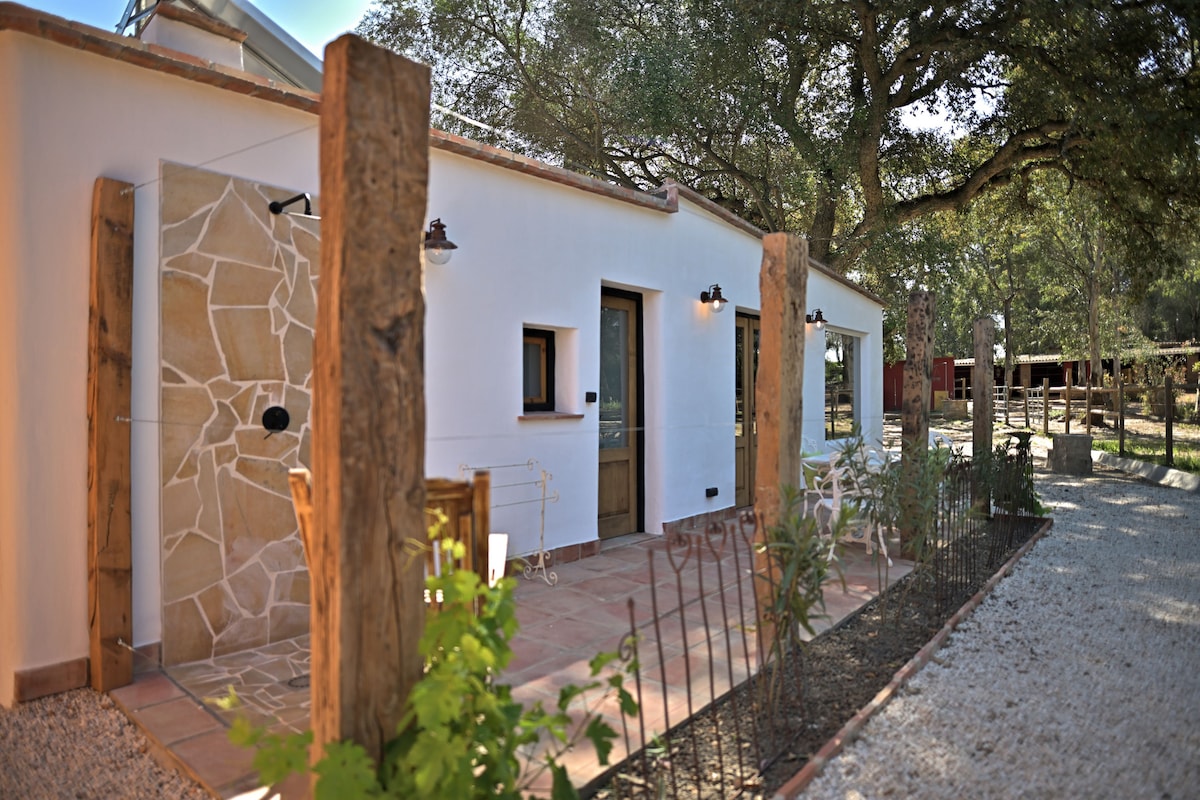 The exterior of the tiny house is framed by rustic wooden posts, with a pathway leading to the entrance. An outdoor shower is visible on one side, and a well-maintained garden with gravel and plants enhances the natural setting.