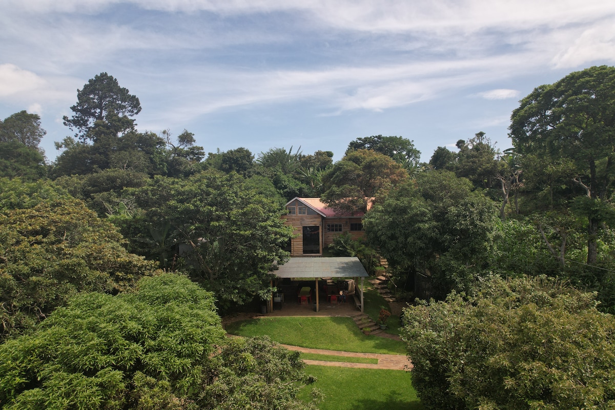 A cabin nestled among lush greenery is depicted with large trees surrounding the structure. A covered outdoor area is seen in the foreground, providing a shaded space. The rustic design of the cabin blends harmoniously with the natural landscape, offering a serene atmosphere.