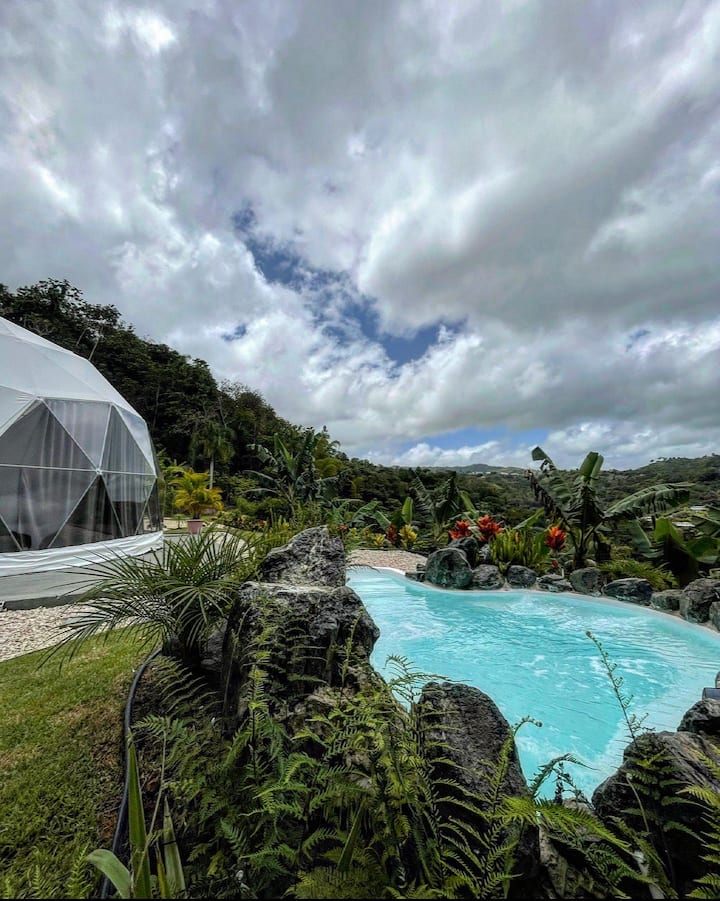 Orocovisのバケーションレンタルと宿泊先 プエルトリコ Airbnb