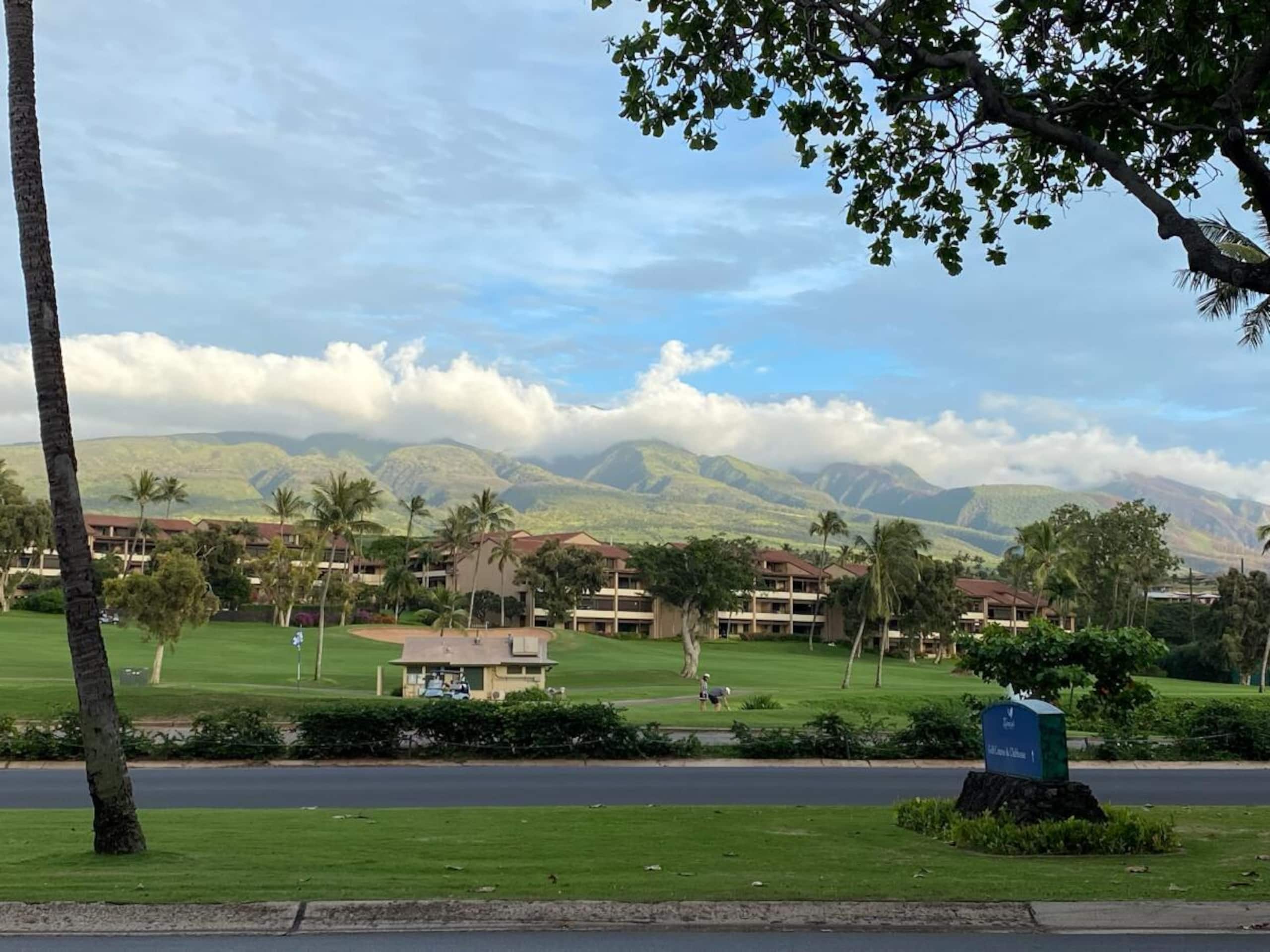 Condo in Kaanapali · ★4.81 · 2 bedrooms · 3 beds · 2 baths - Image 13