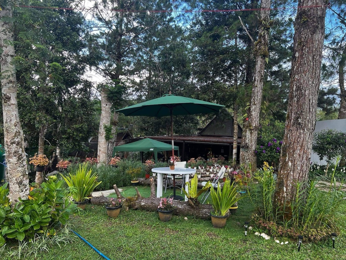 A garden area is surrounded by tall trees and features two large umbrellas providing shade over a white table. Various potted plants and flowers decorate the green space, while a rustic building in the background complements the natural setting.