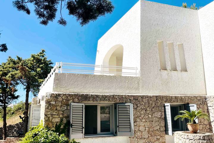 Villa Romanelli NEW, sea view, mini-pool, garden gallery image 5