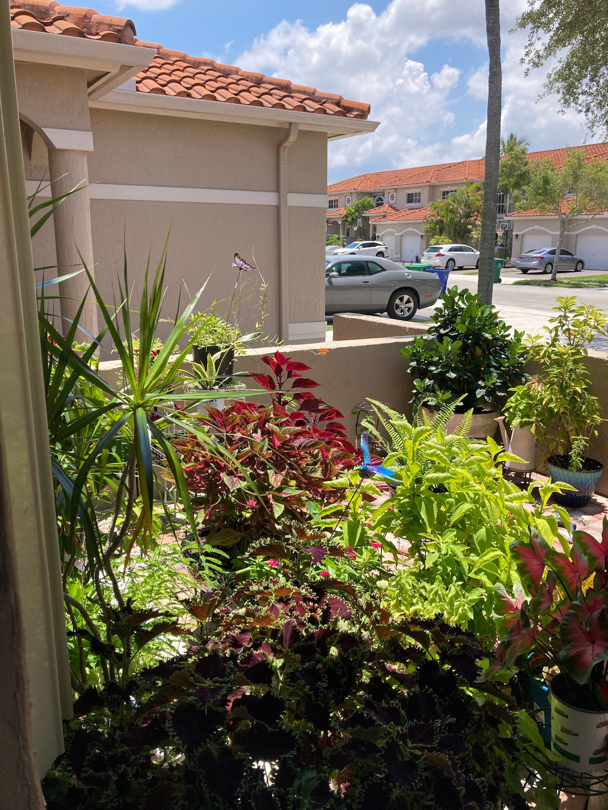 A vibrant garden area features a variety of lush plants, including colorful foliage and leafy greens. The plants are arranged in pots, creating a lively atmosphere outside the entrance. Natural light filters through, illuminating the greenery and enhancing the outdoor space.