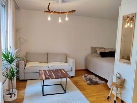 Top Airbnb: Designer Studio with Sauna (free parking) in Suur Leppävaara