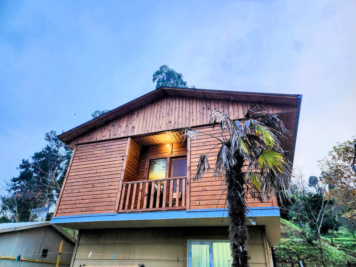 The exterior of the cottage is characterized by natural wood siding and a sloped roof. A small balcony is visible above the entrance, framed by a palm tree. The warm glow from the windows suggests a welcoming interior, surrounded by greenery.