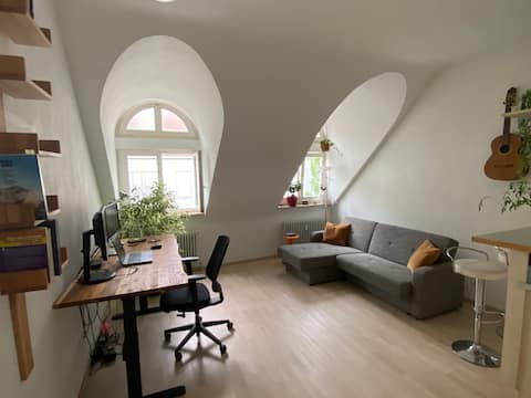 Leistungsstarkes Airbnb: Beautiful & quiet 2-room Apartment in the heart of Freiburg in Freiburg Im Breisgau