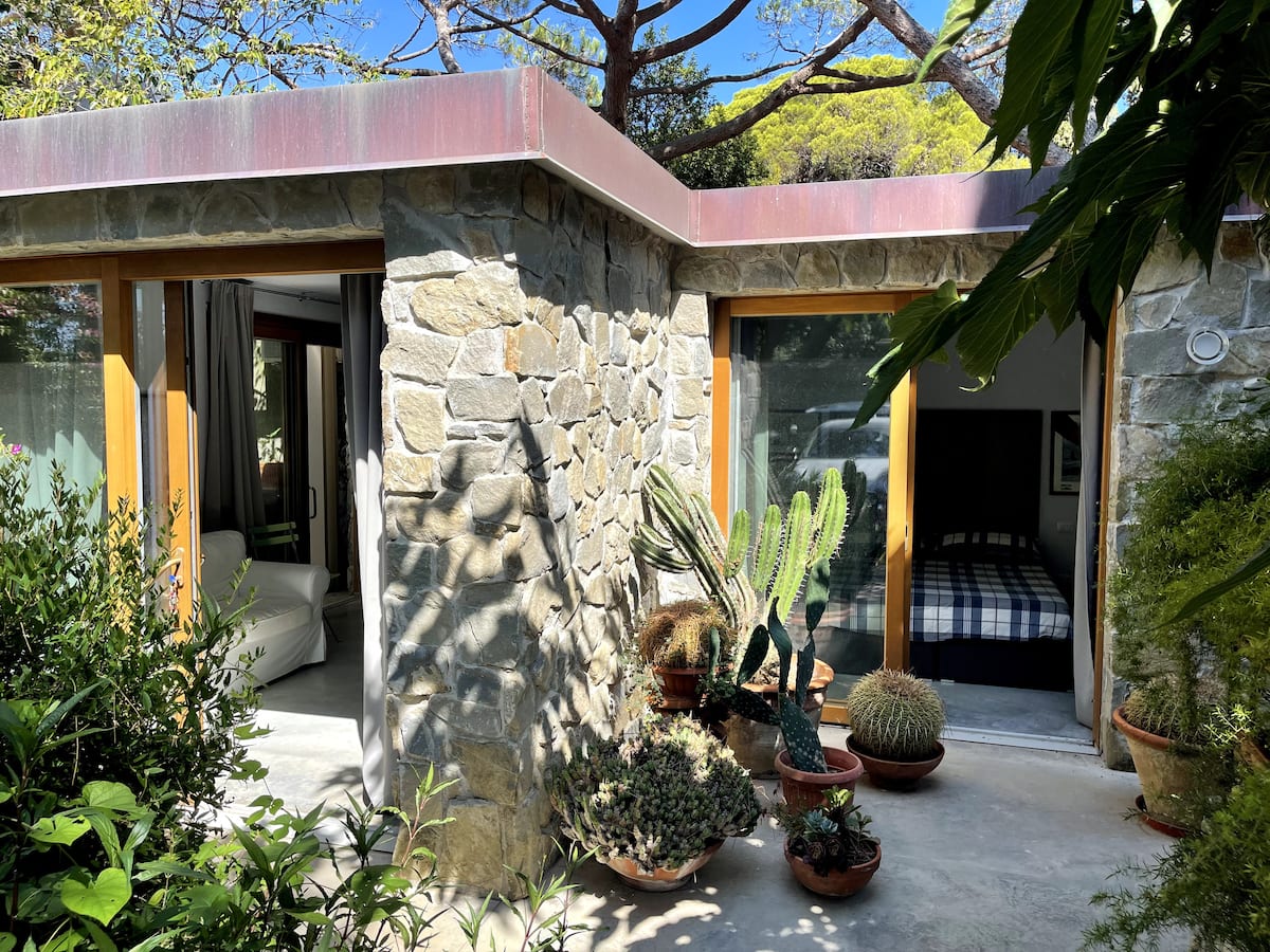 The patio among the plants