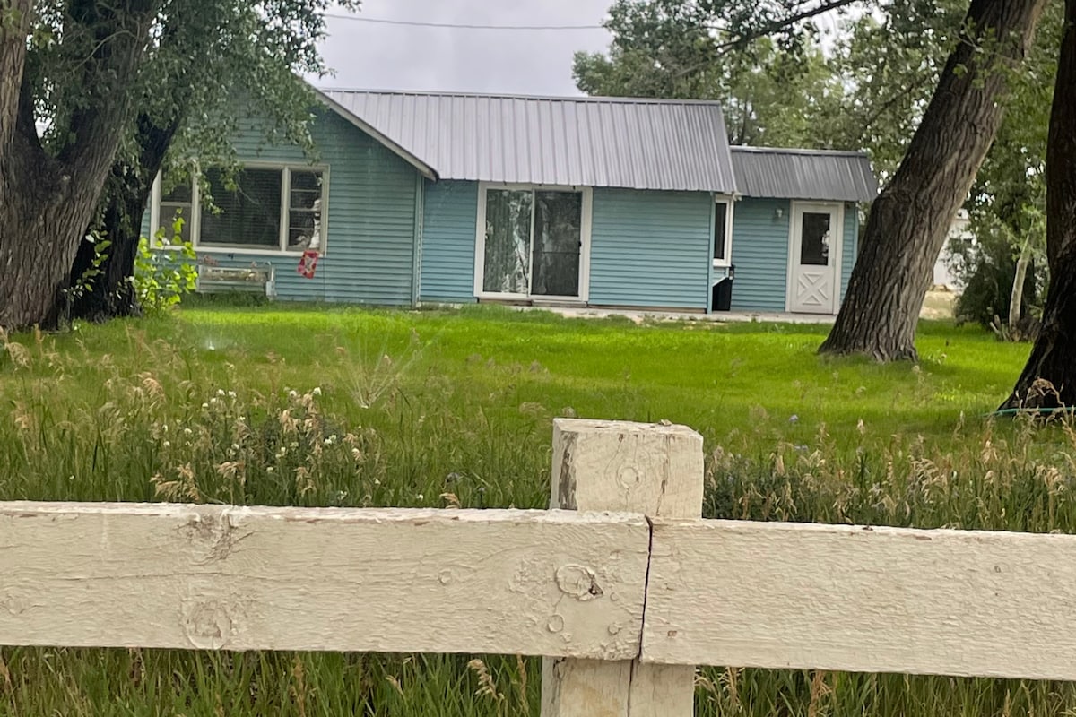 A charming blue farmhouse with a metallic roof is nestled among lush greenery. Large windows allow natural light to illuminate the interior. A white fence borders the grassy yard, framed by trees that provide shade.