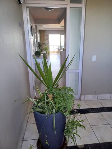 Dolphin Beach H203 Table Mountain Views gallery image 4