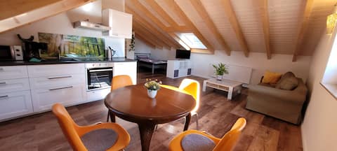 Great one-room apartment in the countryside