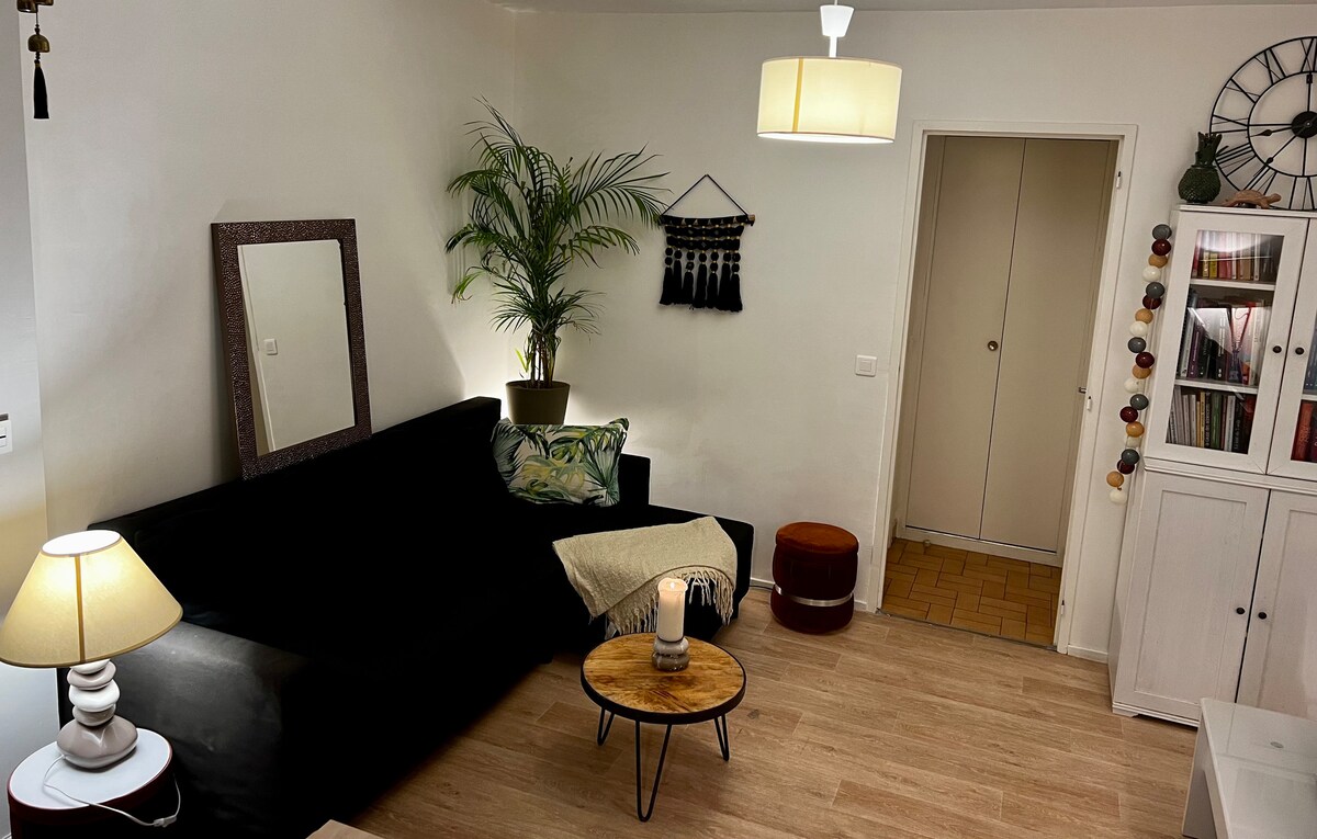 A welcoming living area contains a dark sofa adorned with decorative pillows. A round coffee table centers the space, accompanied by a soft lamp providing warm light. A large mirror and a potted plant enhance the room's ambiance. A light-colored blanket drapes over the sofa.