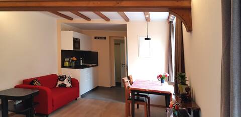 Successful Airbnb property: Beautiful apartment in the countryside in Dresden