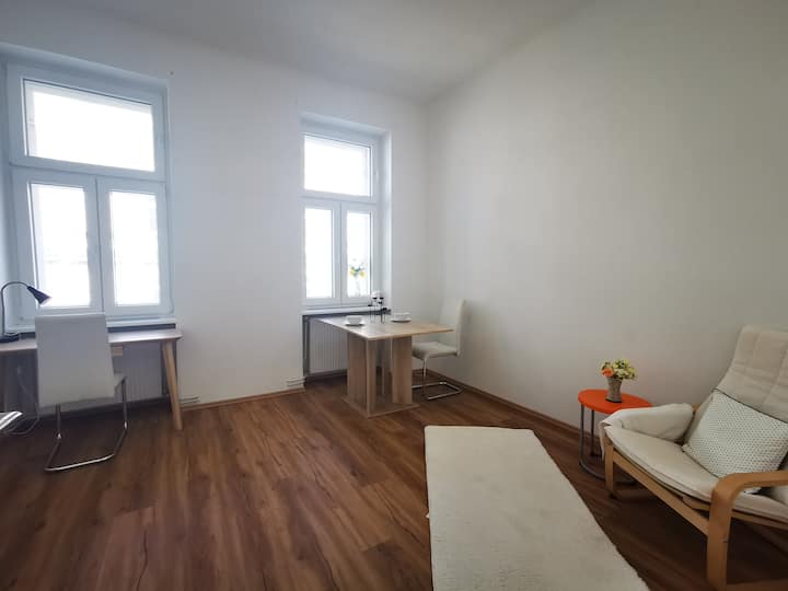 Beautiful Flat Next To Westbanhhof/u3/u6/shopping - Viena