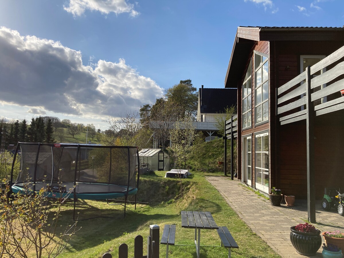 A spacious outdoor area showcases a grassy yard bordered by a path. A trampoline is visible in the background, along with a seating area featuring a picnic table. The house features large glass windows, allowing plenty of natural light into the living spaces.