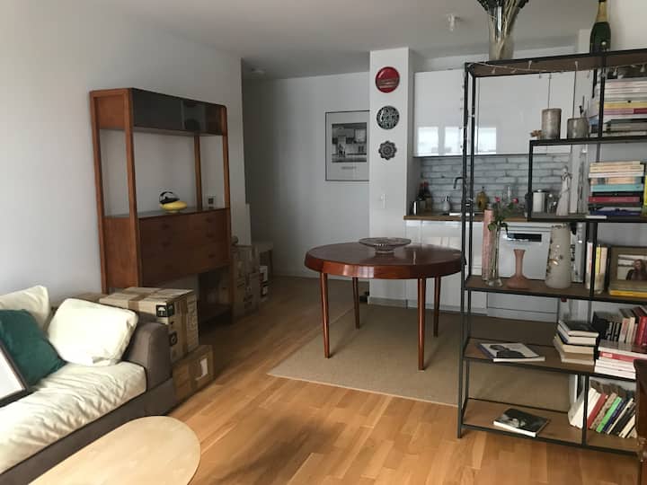 Appartement Cosy, Salon Et Chambre Avec Dressing - Issy-les-Moulineaux