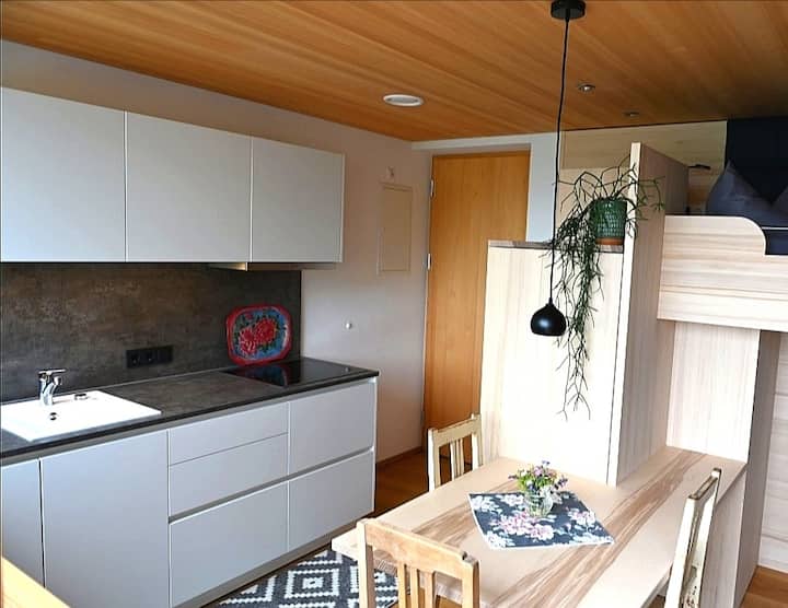 Apartment Bergin. Auszeit Im Großen Walsertal - Bludenz