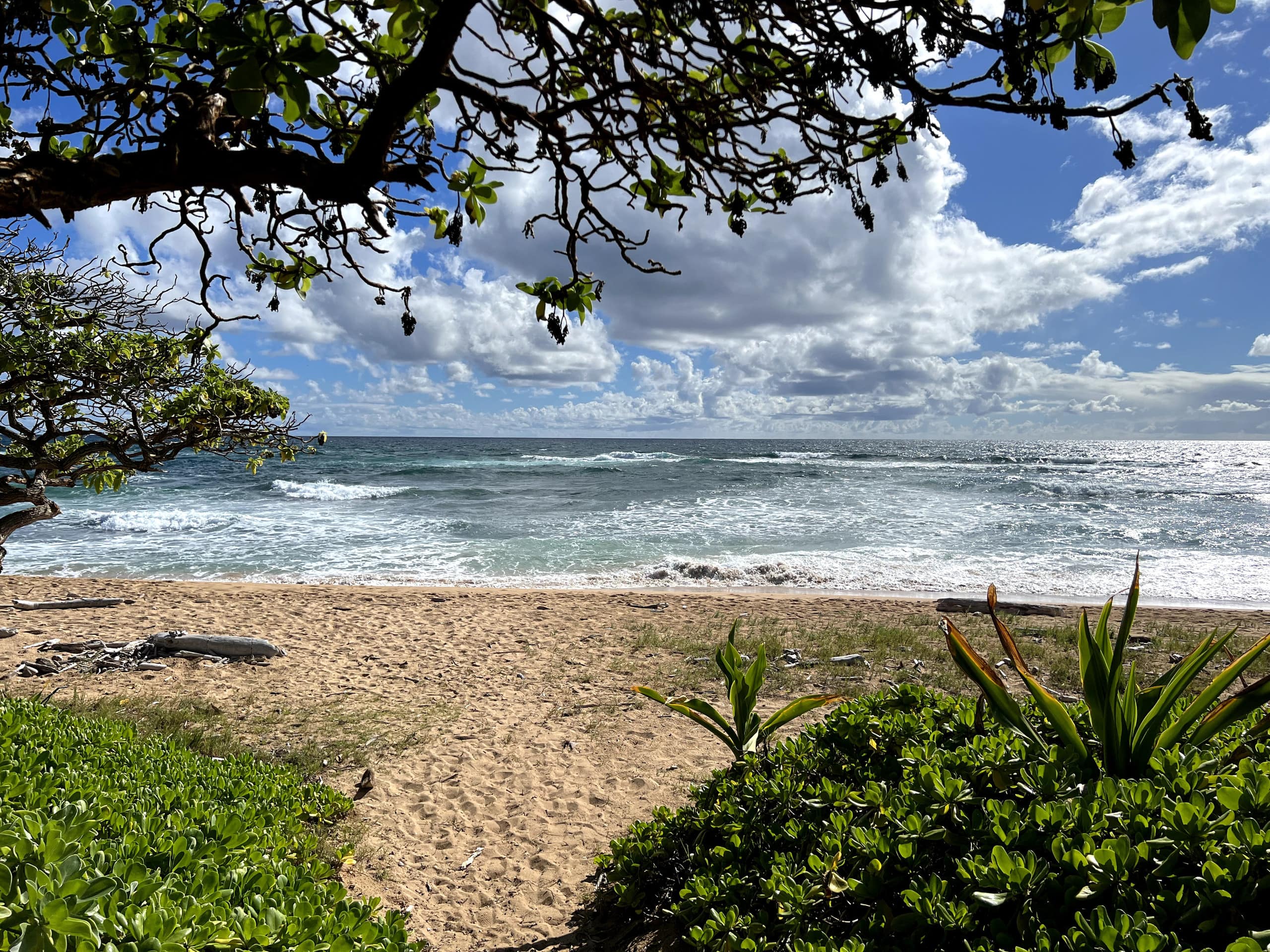 Condo in Lihue · ★4.92 · 1 bedroom · 1 bed · 1 bath - Image 28