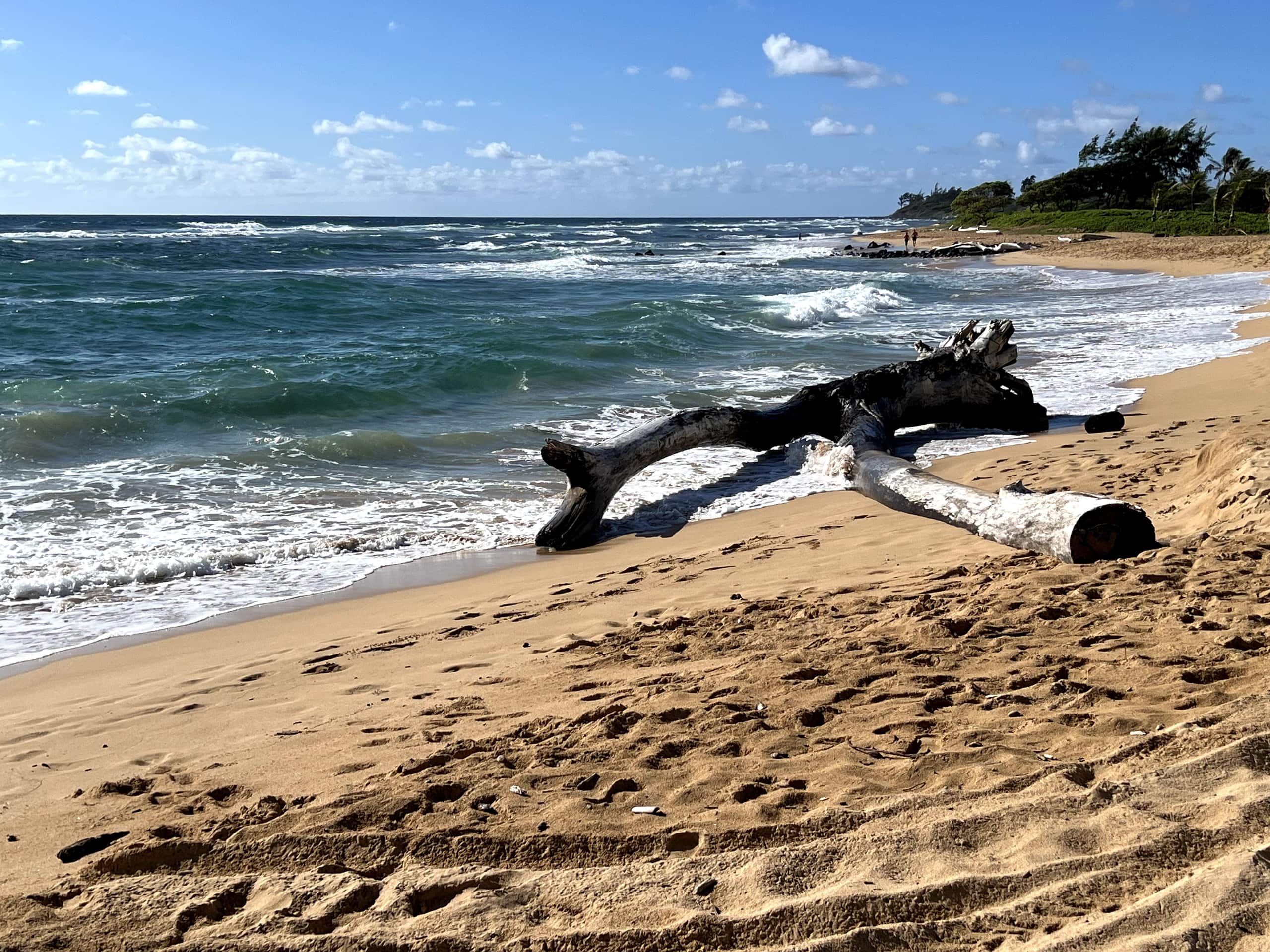 Condo in Lihue · ★4.92 · 1 bedroom · 1 bed · 1 bath - Image 30