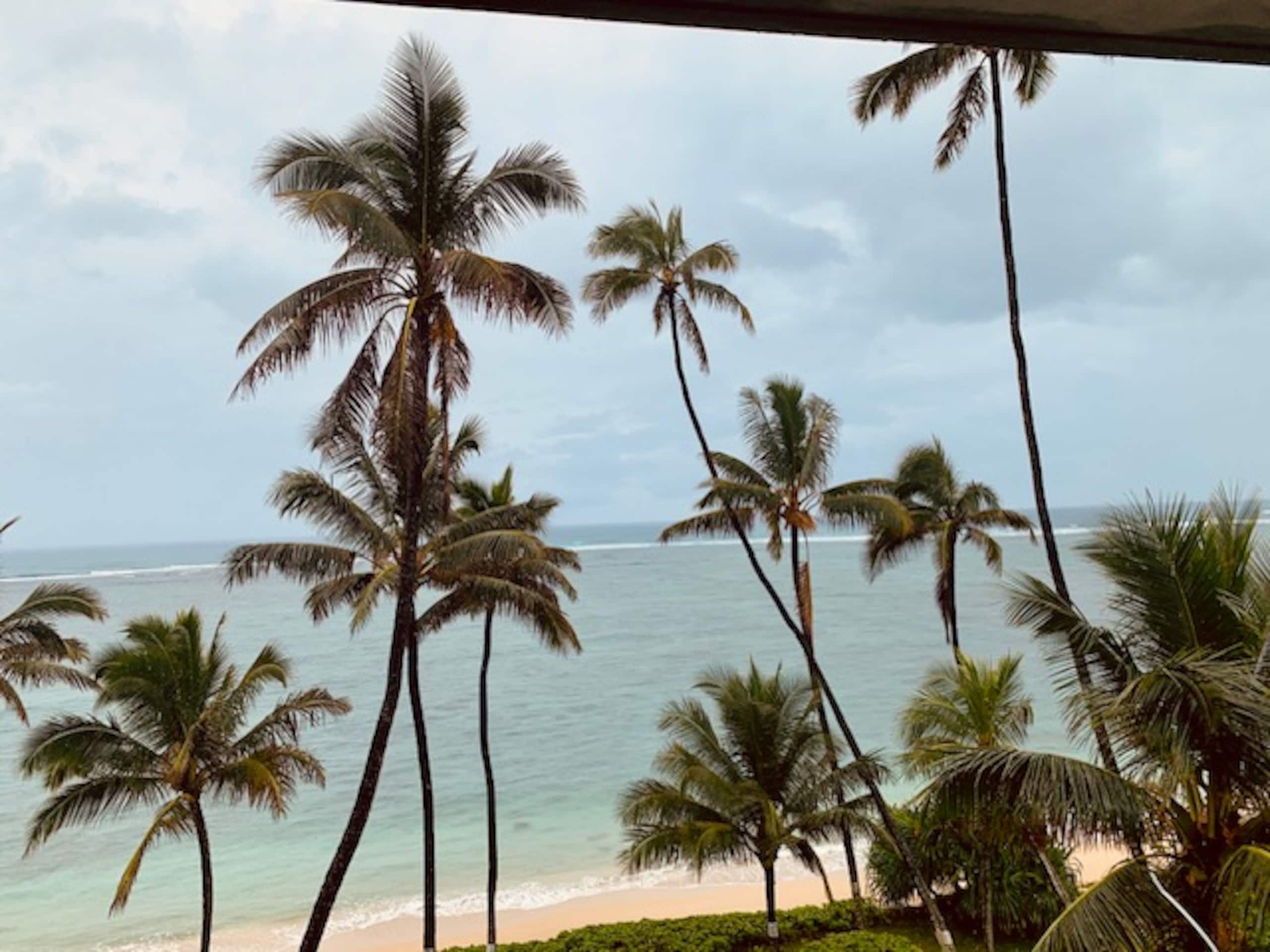 Condo in Hauula · ★4.75 · 1 bedroom · 1 bed · 1 private bath - Image 33
