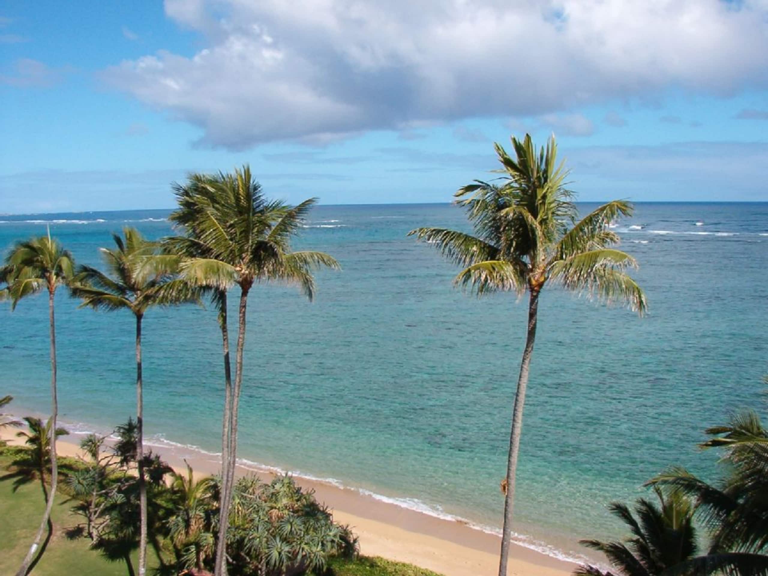 Condo in Hauula · ★4.75 · 1 bedroom · 1 bed · 1 private bath - Image 27
