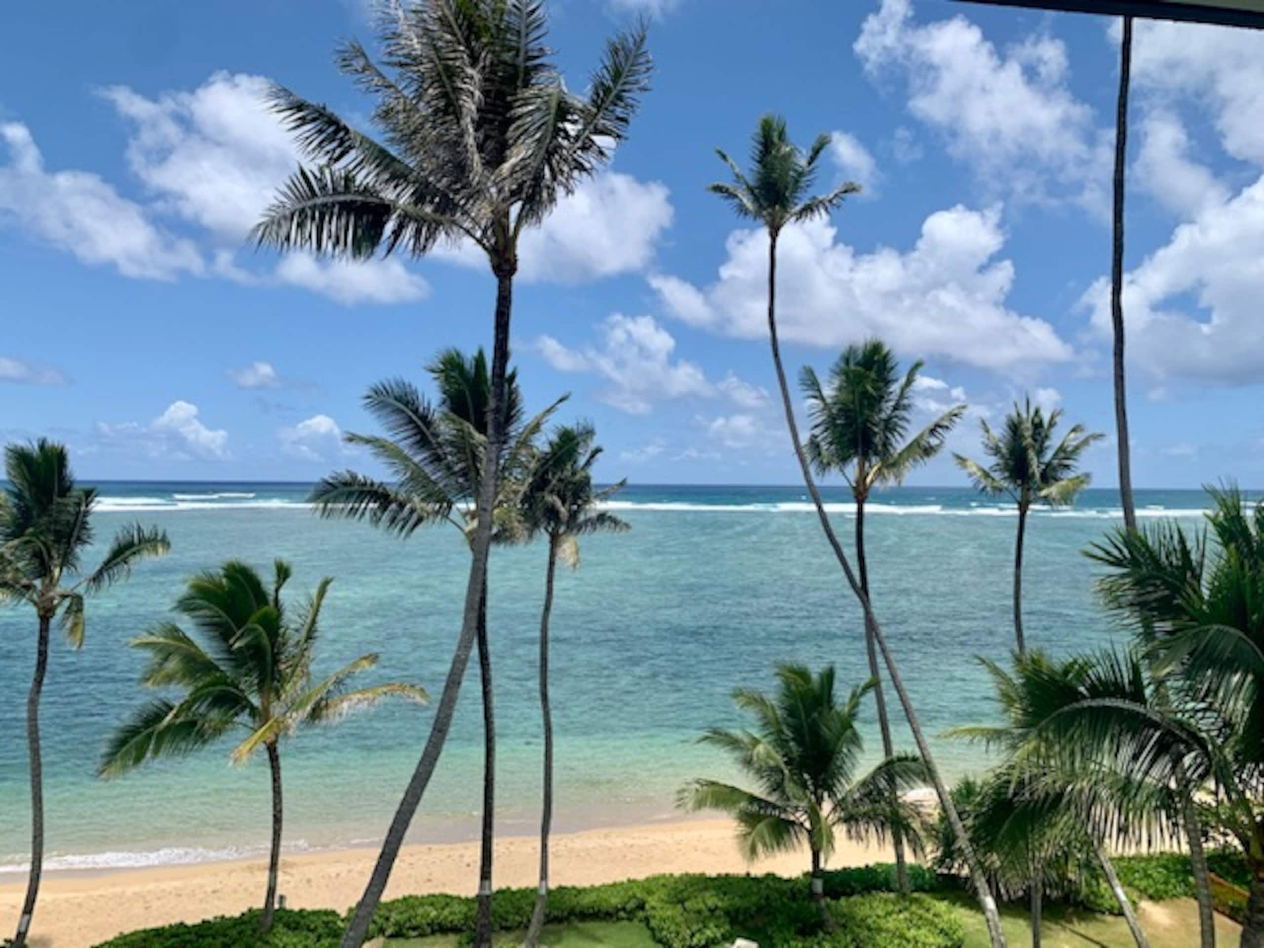Condo in Hauula · ★4.75 · 1 bedroom · 1 bed · 1 private bath - Image 21