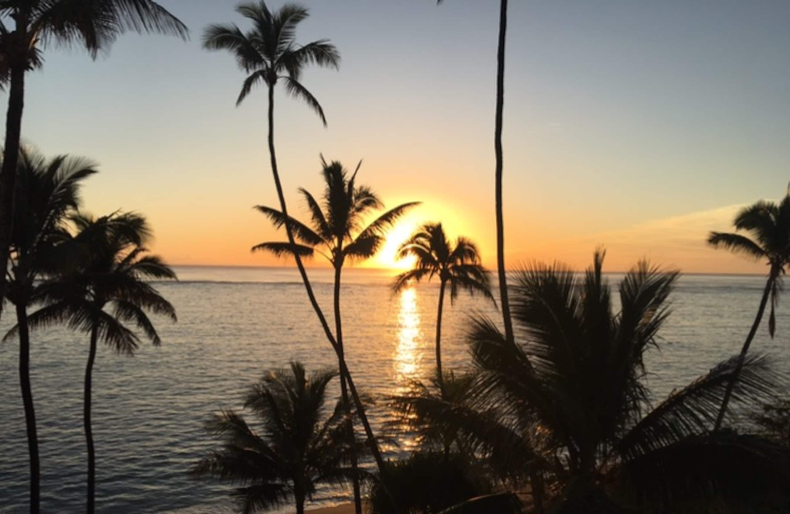 Condo in Hauula · ★4.75 · 1 bedroom · 1 bed · 1 private bath - Image 5
