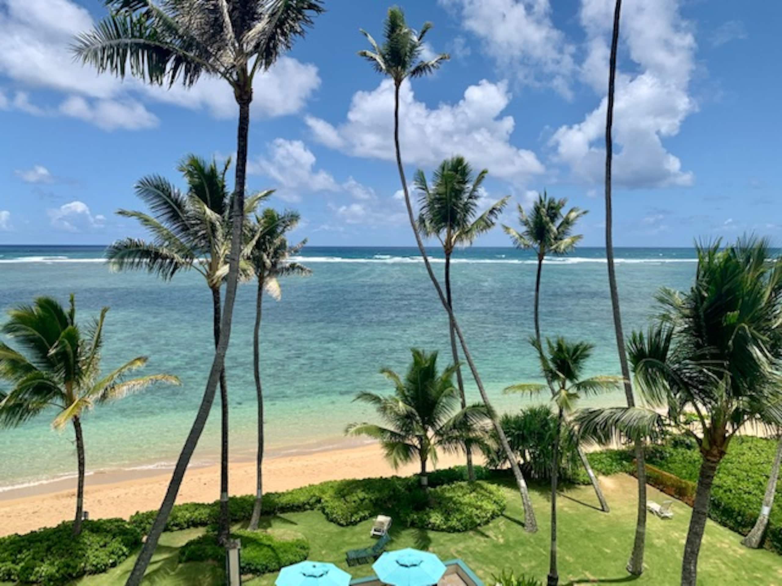 Condo in Hauula · ★4.75 · 1 bedroom · 1 bed · 1 private bath - Image 30