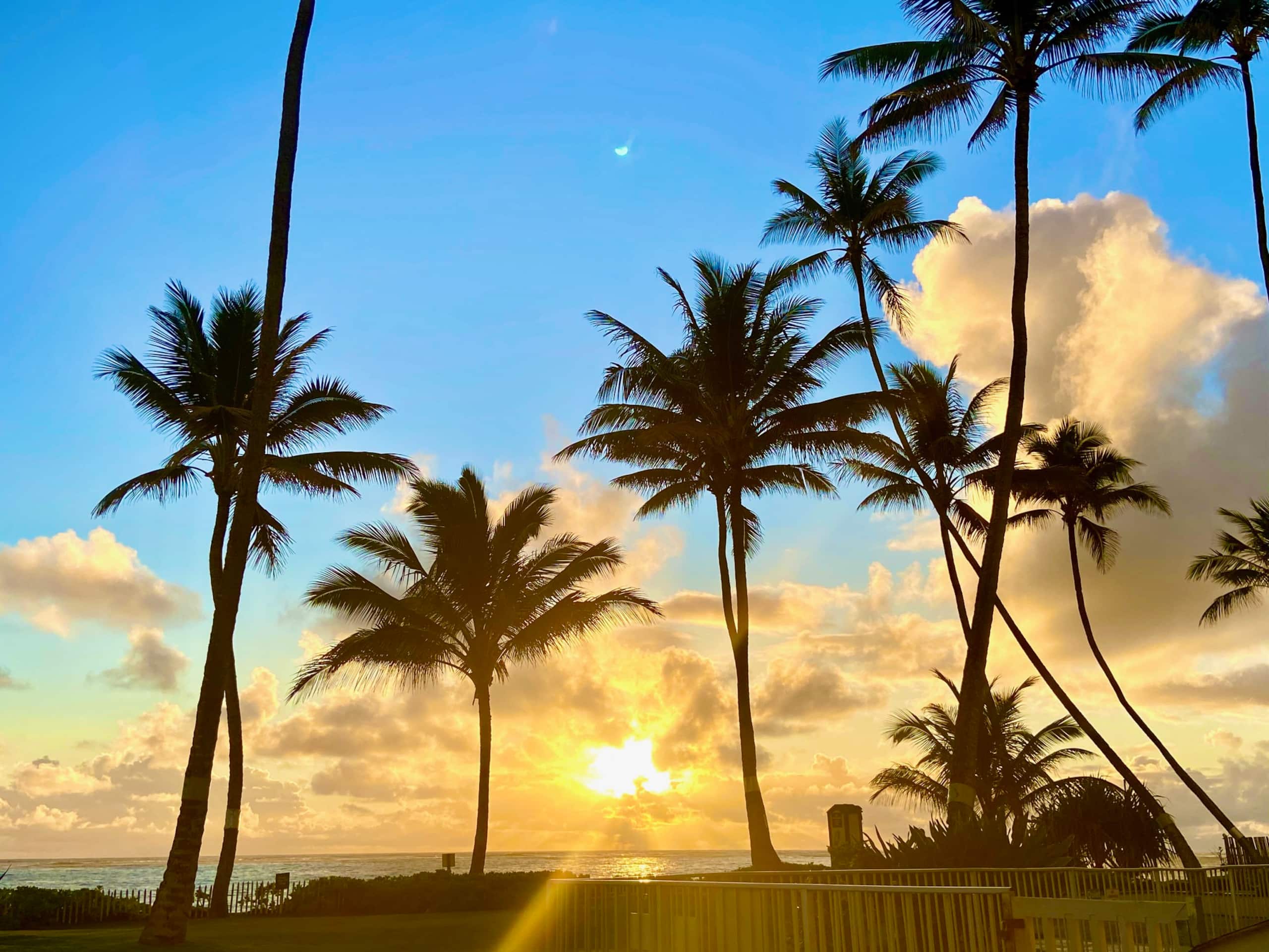 Condo in Hauula · ★4.75 · 1 bedroom · 1 bed · 1 private bath - Image 16