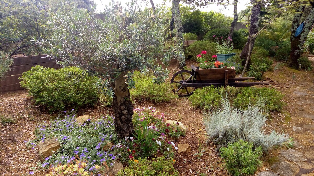 A lush garden is depicted, featuring a mature olive tree surrounded by various flowering plants and shrubs. A rustic wheelbarrow is positioned among colorful blossoms, contributing to the natural ambiance. The path is lined with stones, enhancing the garden's inviting layout.