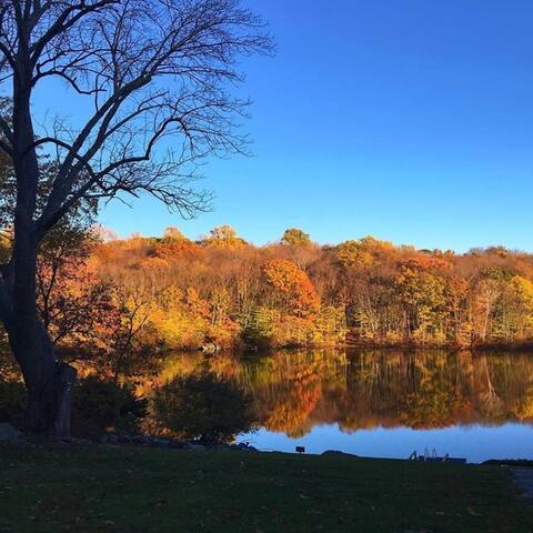 Lakefront Fun, Family and Friends Getaway