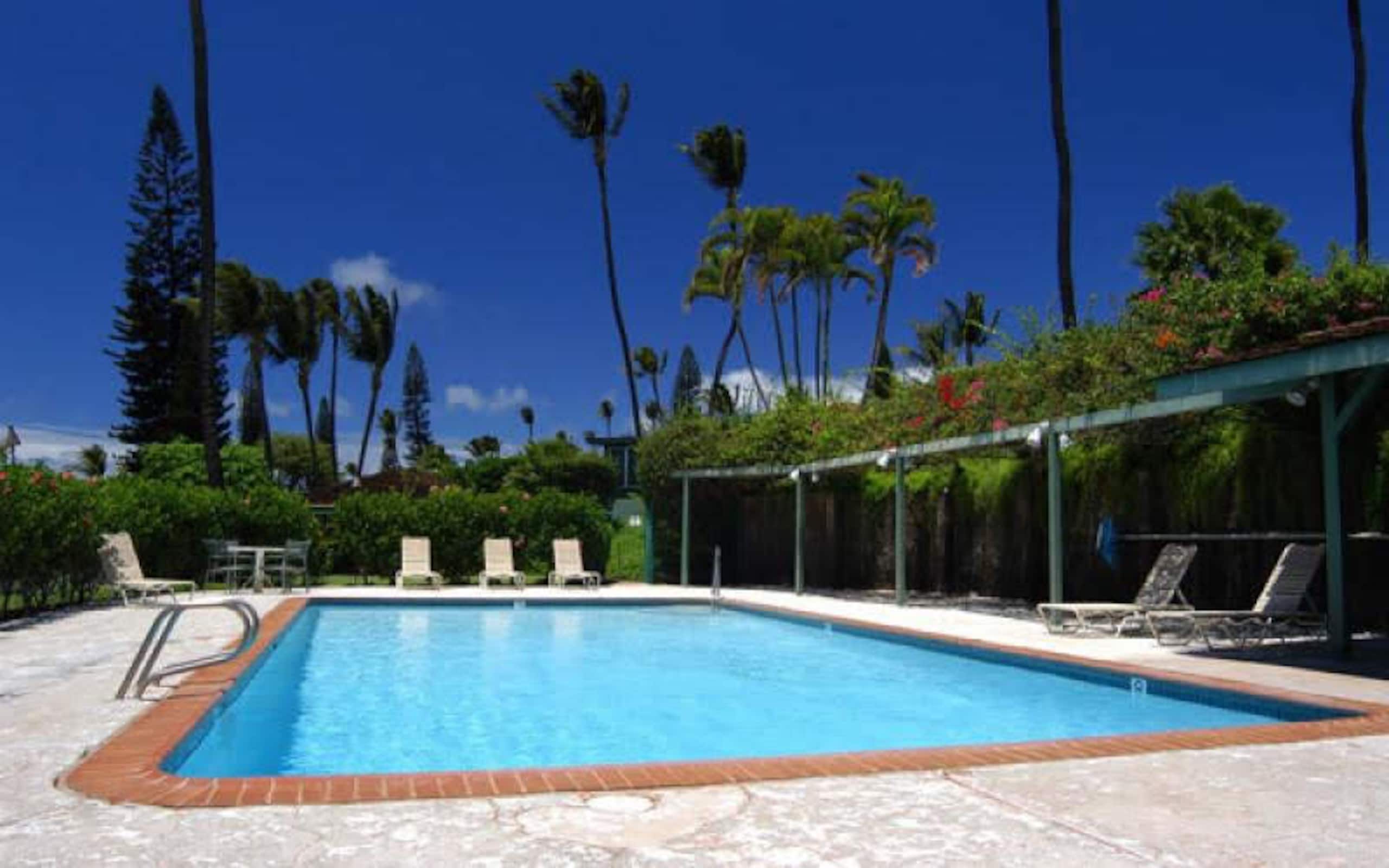 Beautiful Cottage 5 Minutes From Beach - Image 15