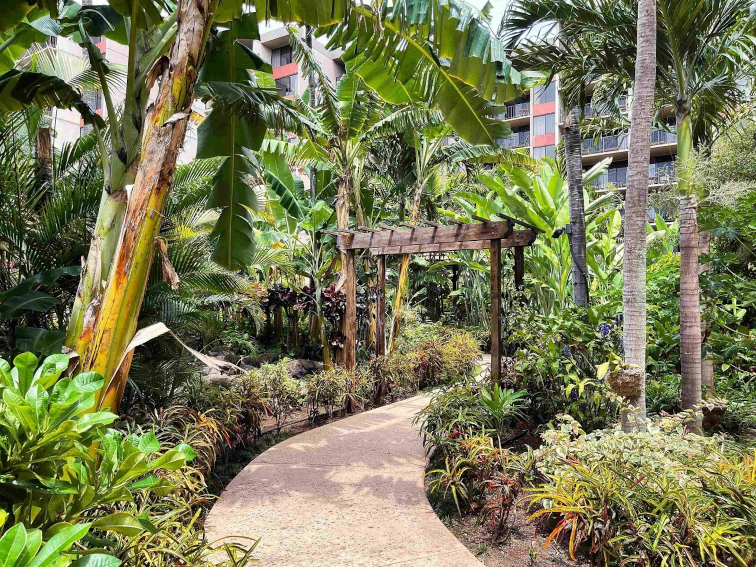 Condo in Lahaina · ★4.85 · Studio · 2 beds · 1 private bath - Image 50