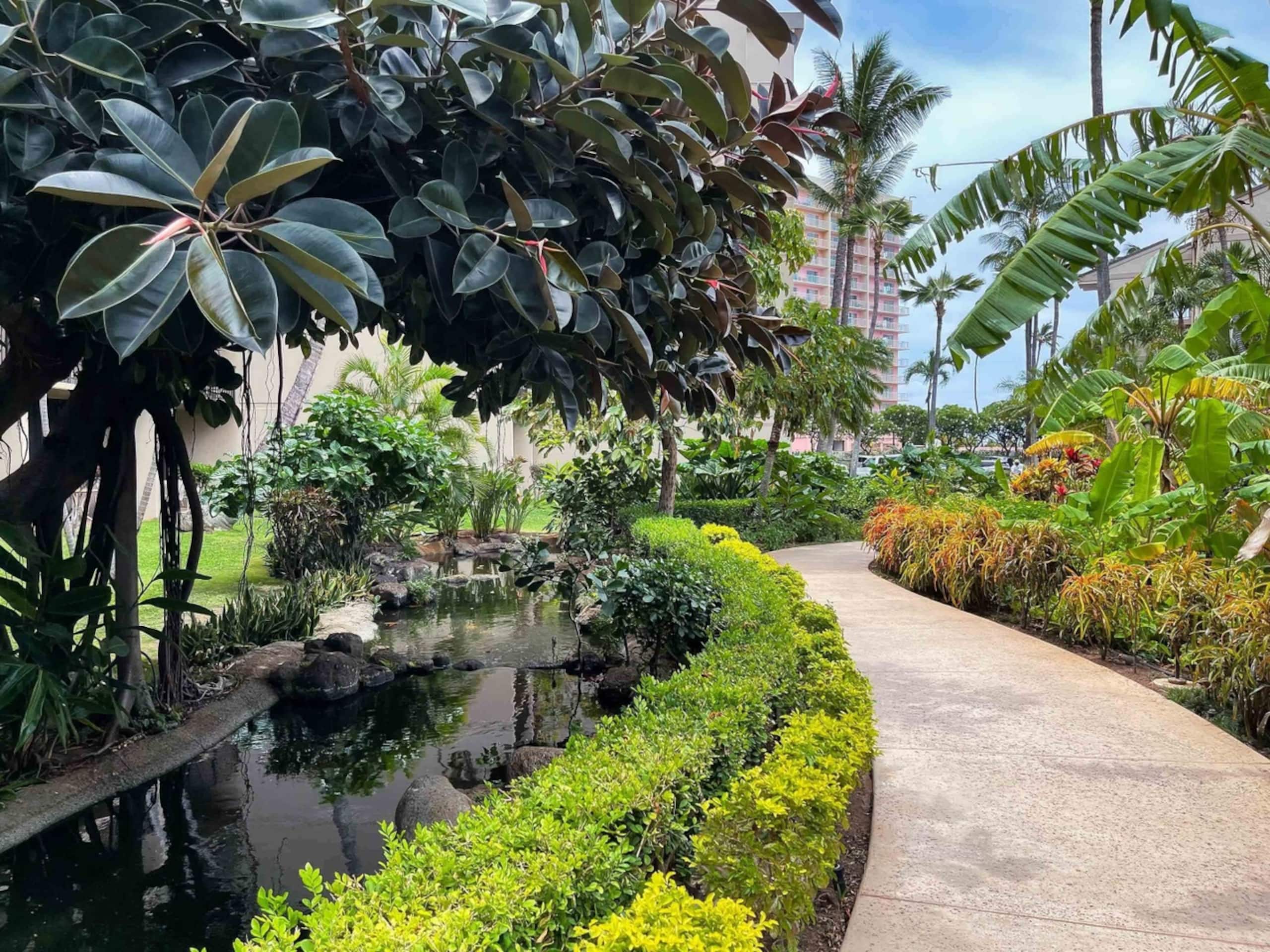 Condo in Lahaina · ★4.85 · Studio · 2 beds · 1 private bath - Image 54