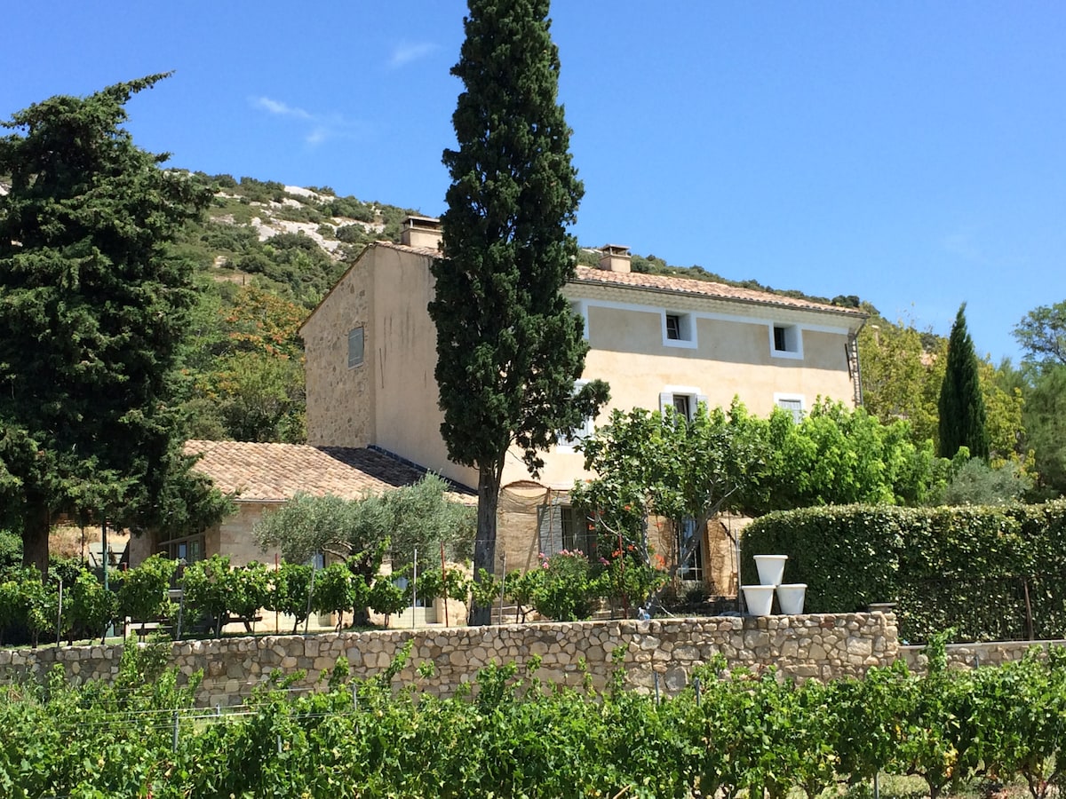 A renovated farmhouse is set against a hillside, surrounded by lush vineyards and greenery. The structure features a textured stone exterior and a tiled roof. A combination of trees and bushes frames the property, providing a natural and serene environment. Clear blue skies provide a bright backdrop.