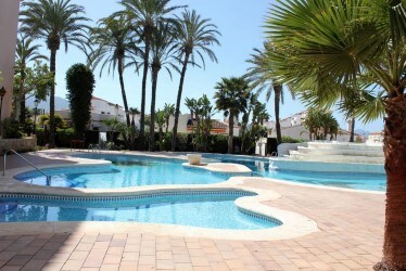 A large swimming pool is surrounded by palm trees and lush greenery. The pool features a curved design with shallow areas and steps, inviting relaxation. Sunlight reflects off the water's surface, creating a serene atmosphere. Bright tiles complement the landscape, enhancing the open space.