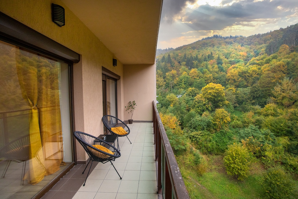 Săcele Vacation Rentals & Homes - Brașov County, Romania | Airbnb