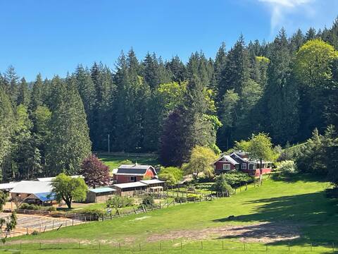 Welcome to Endswell Farm