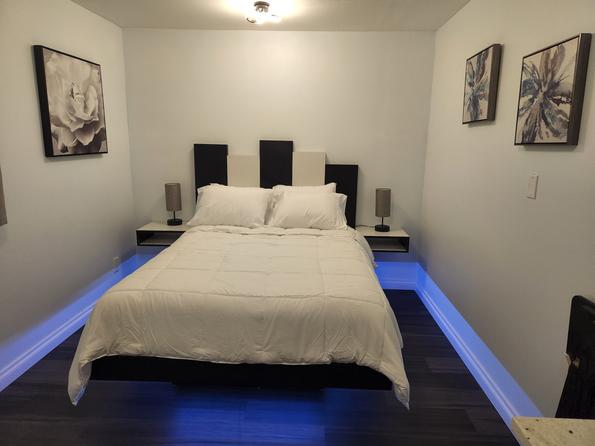 Beautiful suite near the beautiful beaches of St Pete