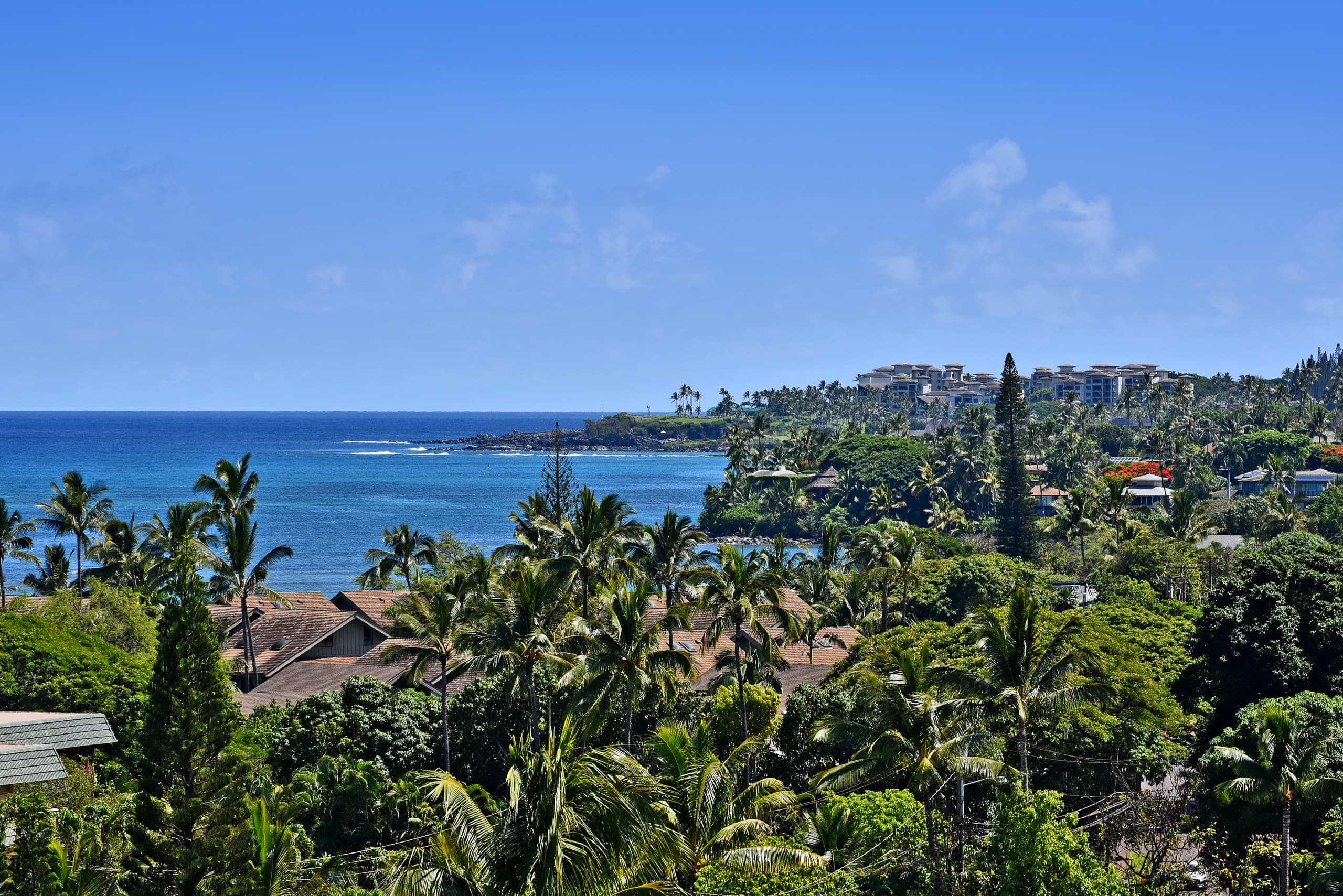Condo in Lahaina · ★4.85 · 1 bedroom · 2 beds · 1 bath - Image 36
