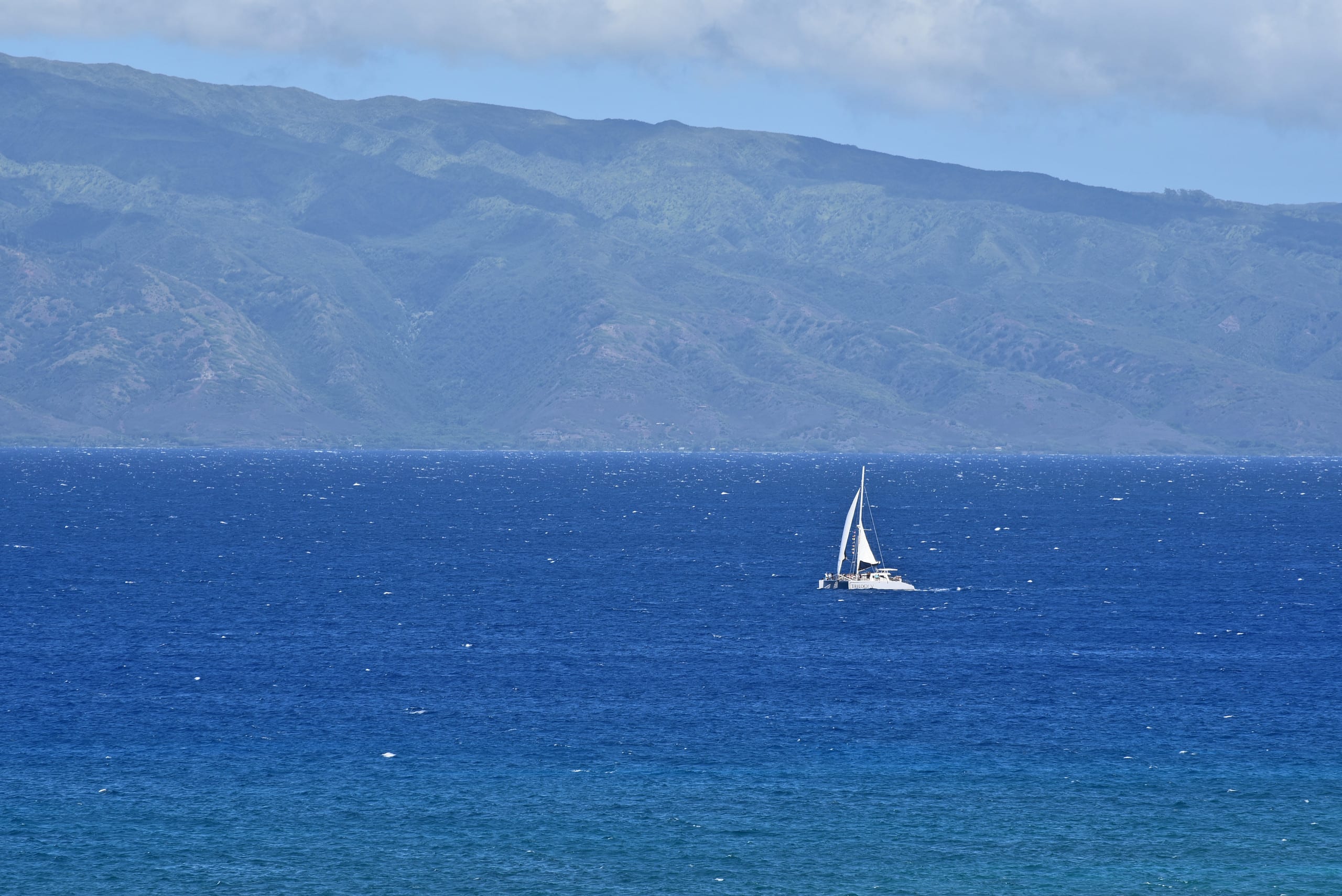 Condo in Lahaina · ★4.85 · 1 bedroom · 2 beds · 1 bath - Image 10