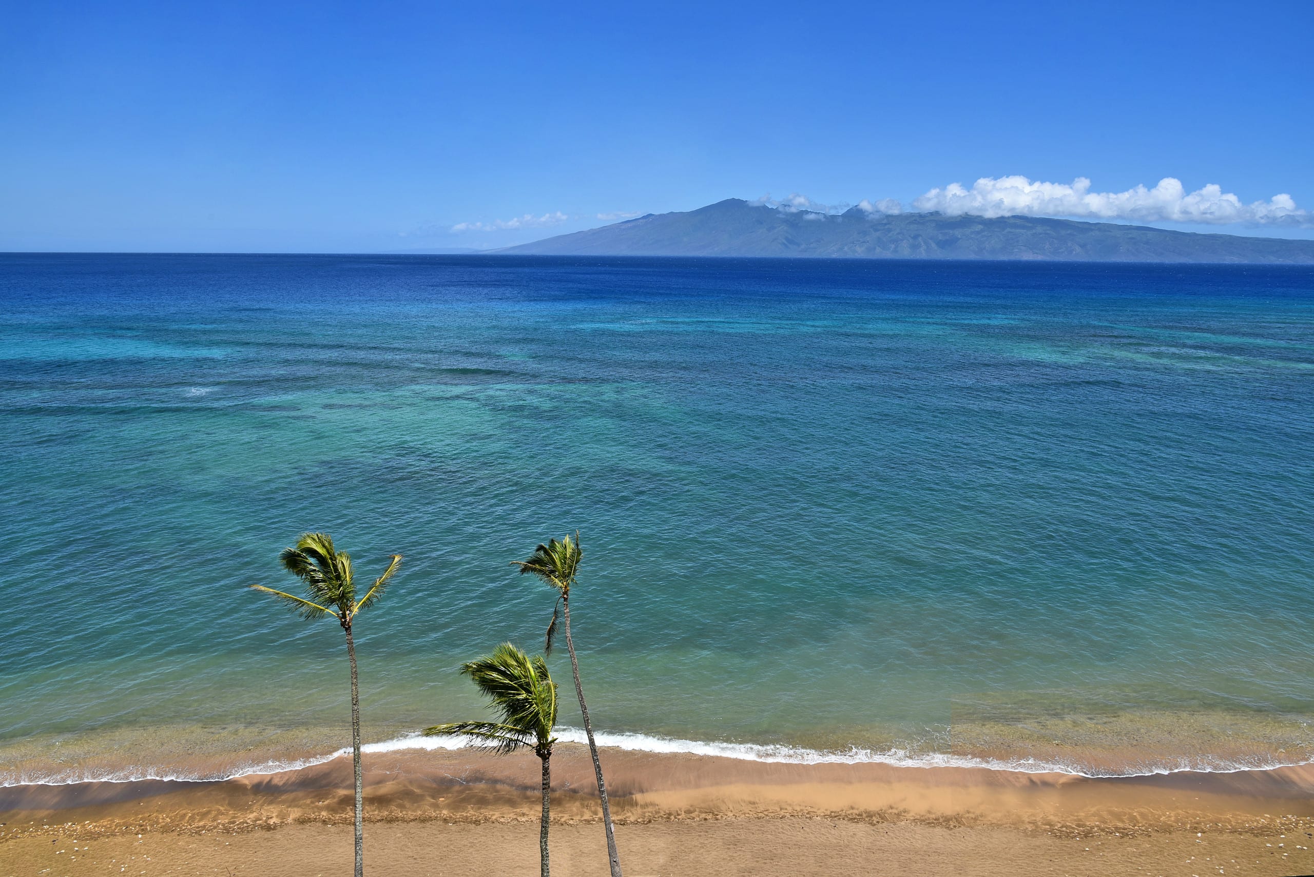 Condo in Lahaina · ★4.85 · 1 bedroom · 2 beds · 1 bath - Image 25