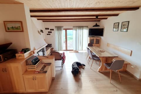 Top Airbnb: Ria Cottage in Goriška