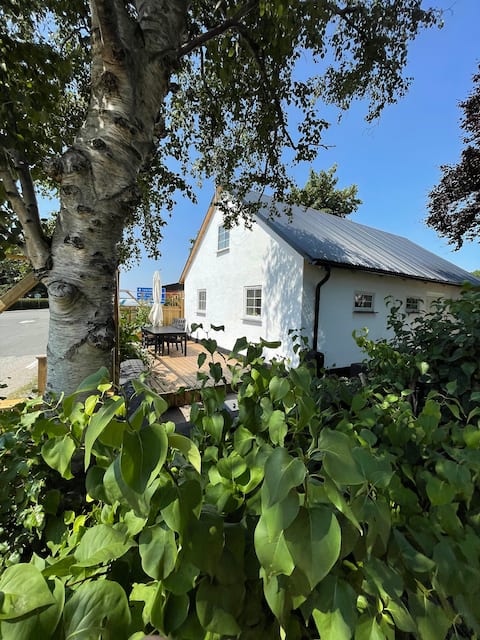 The Old Sheep house, with 250 m2 activity hall