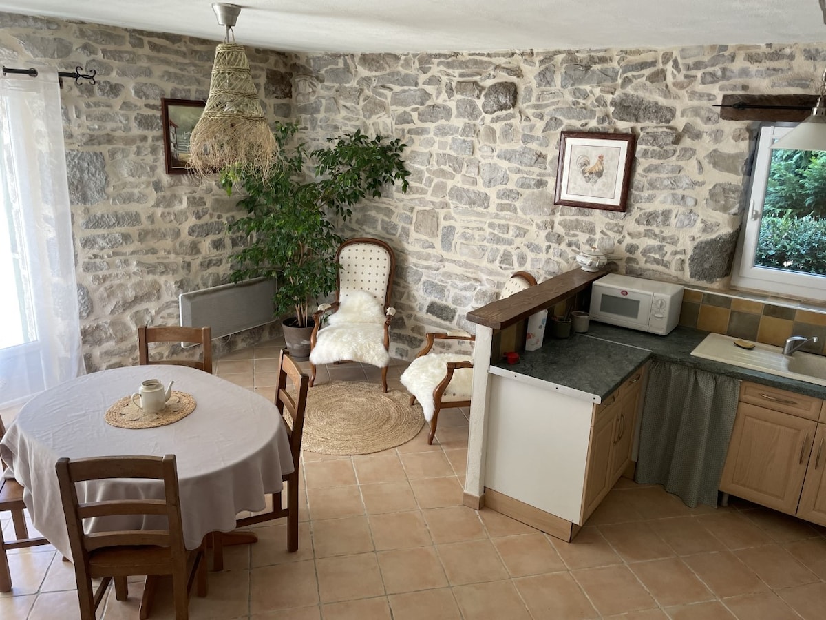 A cozy kitchen area features stone walls and a wooden countertop with a microwave. A round dining table with four chairs is positioned nearby, accompanied by a light-colored rug. A comfortable armchair and a small potted plant add warmth to the space.